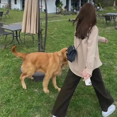 火星罗宾森
